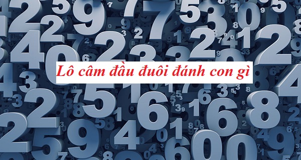 Những cách thức đánh lô đầu câm hiệu quả
