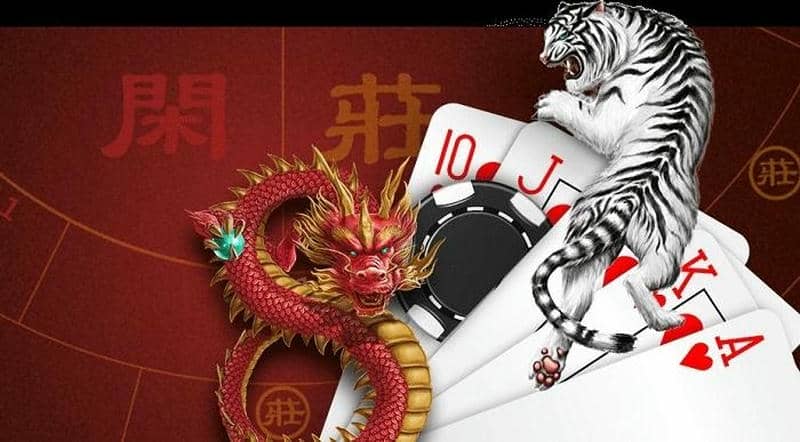 Hướng dẫn người chơi tham gia cá cược rồng hổ