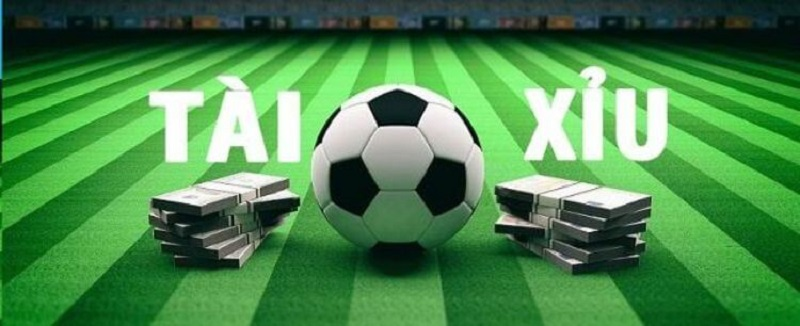 Cá độ tài xỉu là gì?
