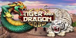 Game Rồng Hổ